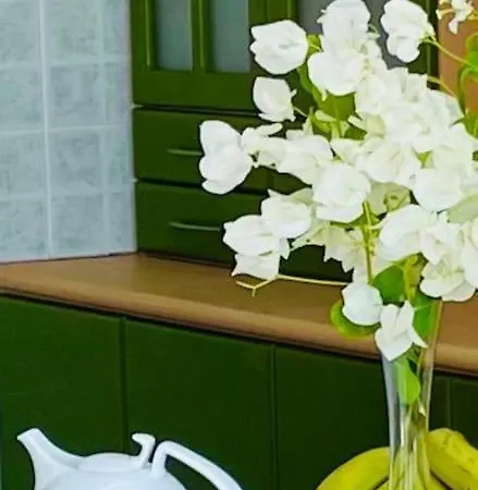 Nicocreon * Famagusta (Northern Cyprus)