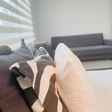 Nicocreon Apartamento *