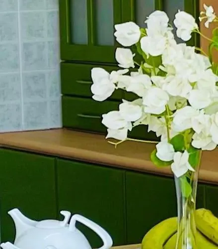 Nicocreon * Famagusta (Northern Cyprus)