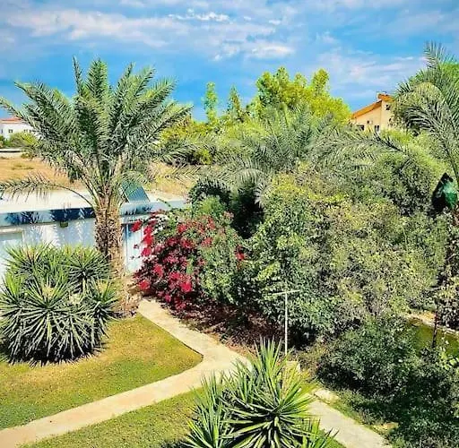 Nicocreon Appartamento